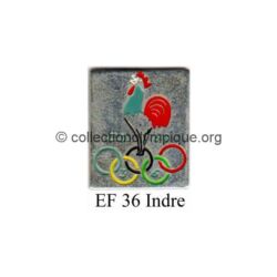 127 20 pin's comité départemental olympique et sportif (CDOS) de l'Indre (36) émail à froid